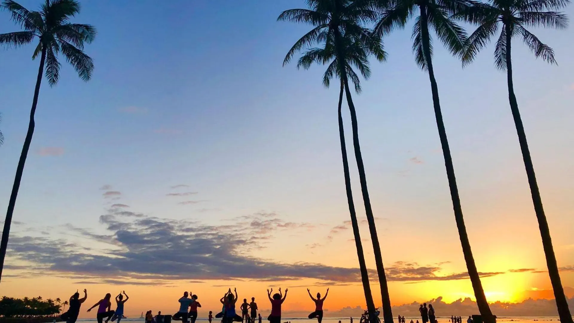 Waikiki Park Heights #1707 Bed & Breakfast Honolulu United States